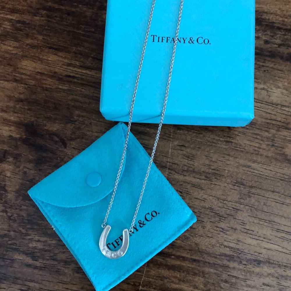 Tiffany’s Horse Shoe Necklace